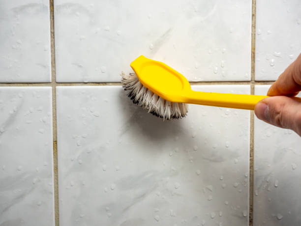 Best Attic Mold Removal  in Royersford, PA