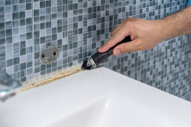 Best Certified Mold Removal  in Royersford, PA